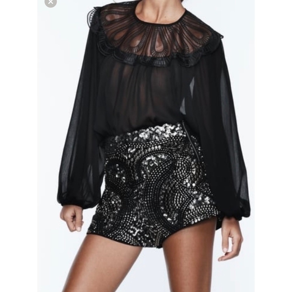 Zara Black Sheer Embroidered Bib Collar Blouse‎ Balloon Sleeve Top M NWT Womens